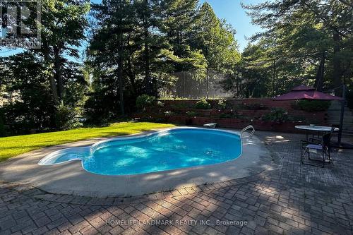 11 Marcus Court, Vaughan, ON - Outdoor With In Ground Pool With Backyard