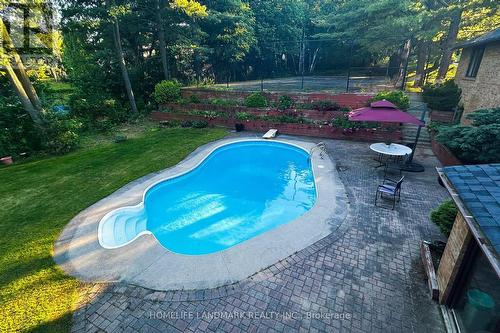 11 Marcus Court, Vaughan, ON - Outdoor With In Ground Pool With Backyard