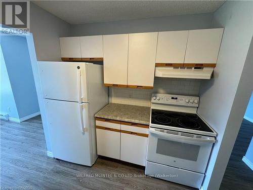 303 - 125 Hinks Street, Brockton, ON - Indoor Photo Showing Kitchen