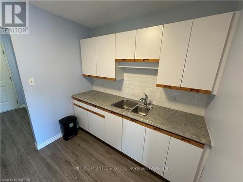 303 - 125 Hinks Street, Brockton, ON - Indoor Photo Showing Kitchen With Double Sink