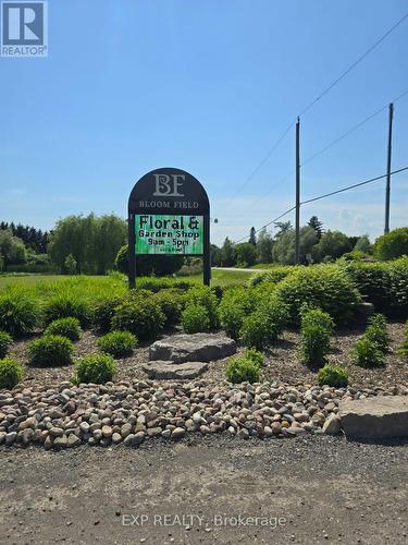 191 Flood Avenue, Clarington, ON - Outdoor With View