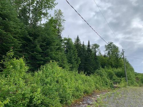 Land/Lot - Ch. Du Sous-Bois, Notre-Dame-De-La-Merci, QC 