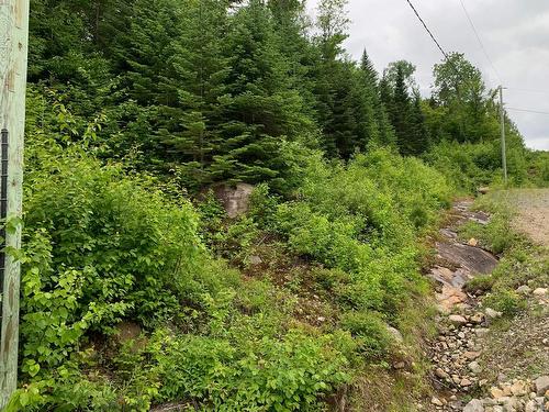 Land/Lot - Ch. Du Sous-Bois, Notre-Dame-De-La-Merci, QC 