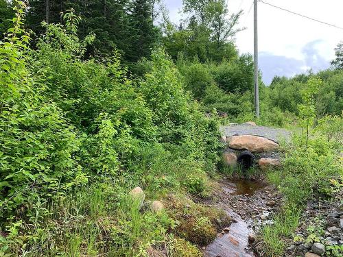 Land/Lot - Ch. Du Sous-Bois, Notre-Dame-De-La-Merci, QC 