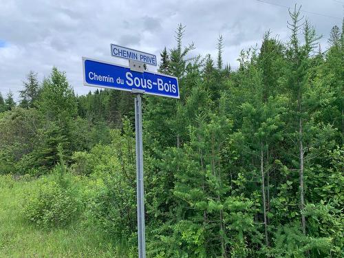 Street - Ch. Du Sous-Bois, Notre-Dame-De-La-Merci, QC 