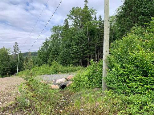 Land/Lot - Ch. Du Sous-Bois, Notre-Dame-De-La-Merci, QC 