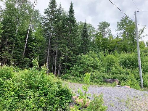 Land/Lot - Ch. Du Sous-Bois, Notre-Dame-De-La-Merci, QC 