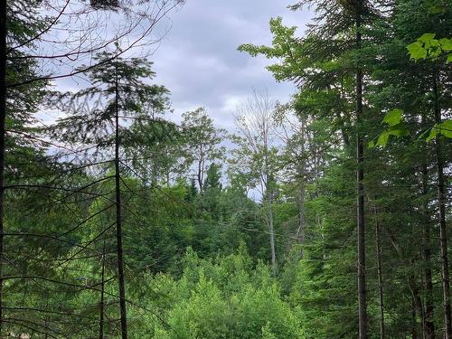 View - Ch. Du Sous-Bois, Notre-Dame-De-La-Merci, QC 