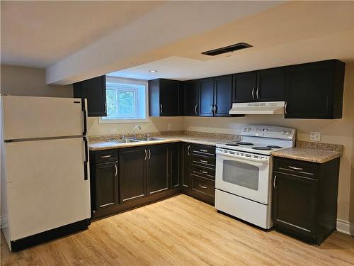 212 Balmoral Avenue S, Hamilton, ON - Indoor Photo Showing Kitchen With Double Sink