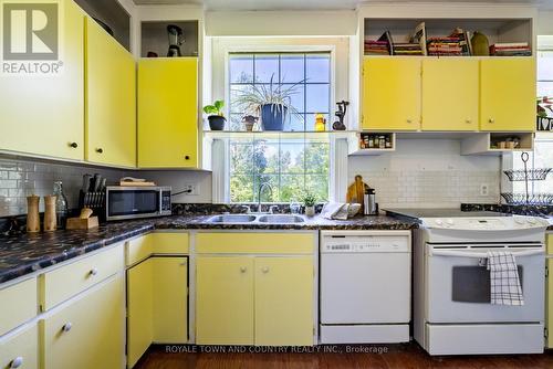 491 Portage Road, Kawartha Lakes, ON - Indoor Photo Showing Kitchen With Double Sink