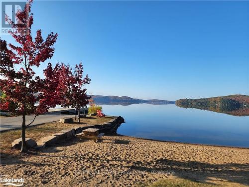 1075 Spring Lake Road, Lake Of Bays, ON 