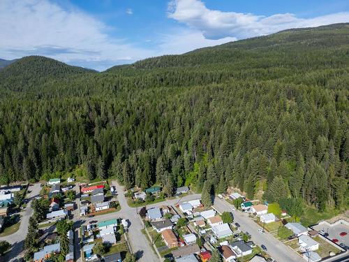 225 Ritchie Street, Kimberley, BC - Outdoor With View