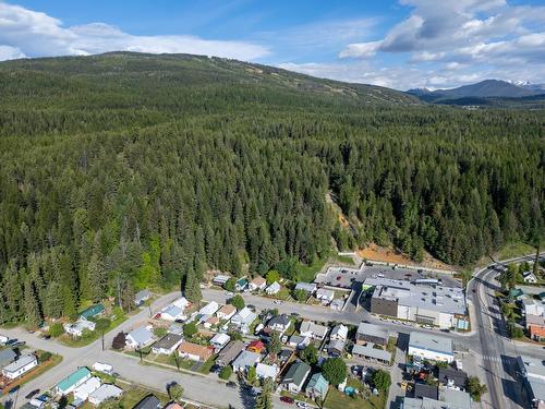 225 Ritchie Street, Kimberley, BC - Outdoor With View