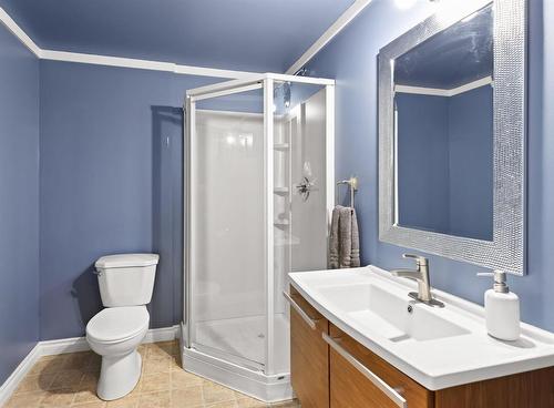 65 Dodds Road, Headingley, MB - Indoor Photo Showing Bathroom