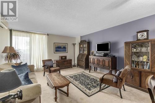 1139 Queen St E # 208, Sault Ste. Marie, ON - Indoor Photo Showing Living Room