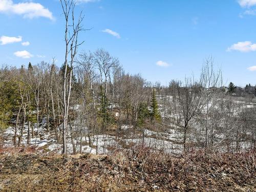 Backyard - 1178 Rue Du Clos-Du-Petit-Mont, Prévost, QC - Outdoor With View