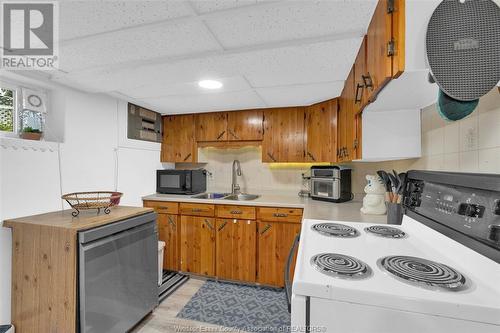 1780 Ford Boulevard, Windsor, ON - Indoor Photo Showing Kitchen With Double Sink