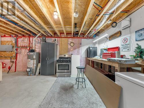 42 York Boulevard, Kingsville, ON - Indoor Photo Showing Basement