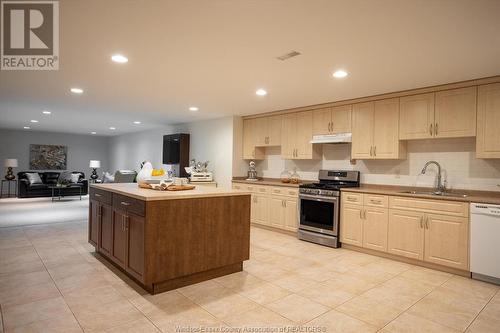 2160 Normandy Street, Lasalle, ON - Indoor Photo Showing Kitchen With Double Sink