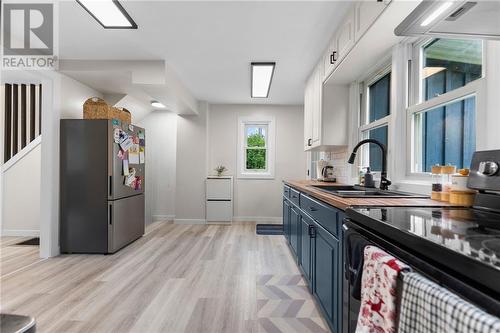 New fridge and sink - 60 Sebastopol Drive, Foymount, ON - Indoor Photo Showing Kitchen