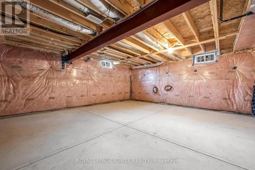 81 Tom Brown Drive, Brant, ON - Indoor Photo Showing Basement