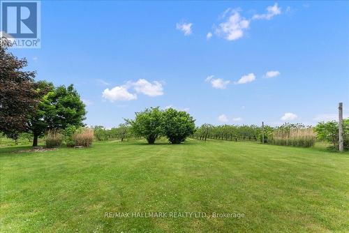 2393 Red Maple Avenue, Lincoln, ON - Outdoor With View