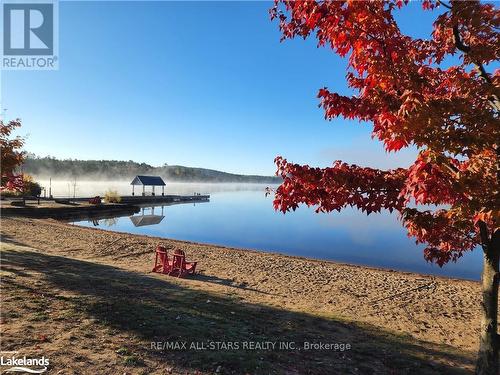 0 Tally Ho Winter Park Road, Lake Of Bays, ON 