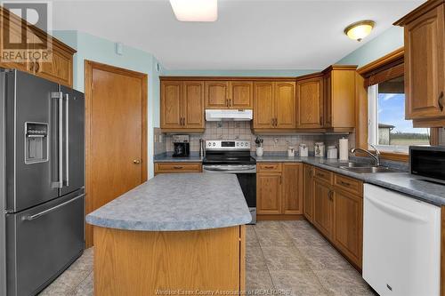 6802 6Th Concession Rd N, Amherstburg, ON - Indoor Photo Showing Kitchen With Double Sink