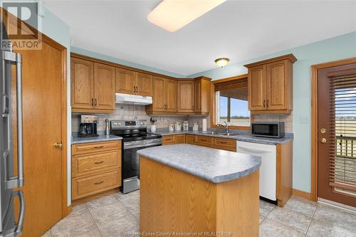 6802 6Th Concession Rd N, Amherstburg, ON - Indoor Photo Showing Kitchen With Double Sink