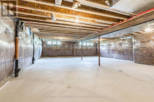 42 Phyllis Drive, Caledon, ON - Indoor Photo Showing Basement