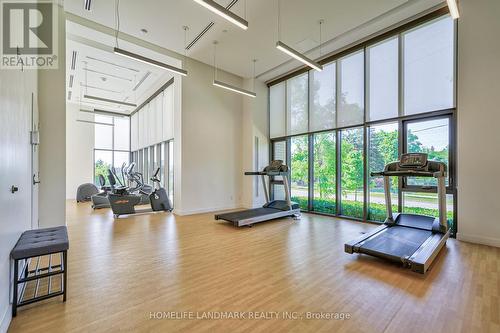 918 - 1028 Mcnicoll Avenue, Toronto (Steeles), ON - Indoor Photo Showing Gym Room