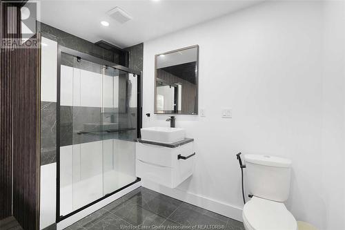 390 Hyde Street, Windsor, ON - Indoor Photo Showing Bathroom