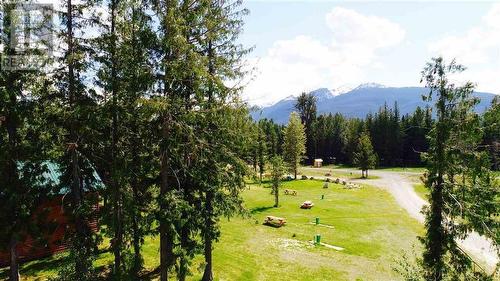 5306 E 16 Highway, Valemount, BC 