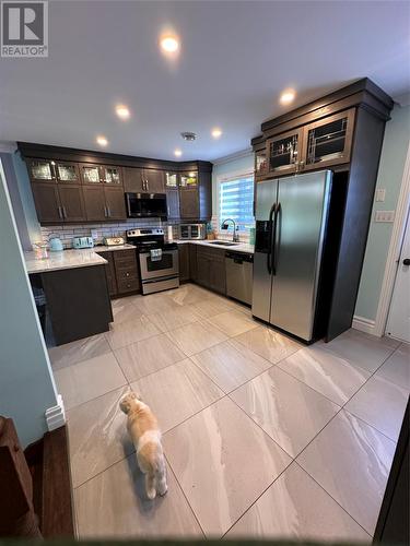 19 Western Island Pond Drive, Torbay, NL - Indoor Photo Showing Kitchen