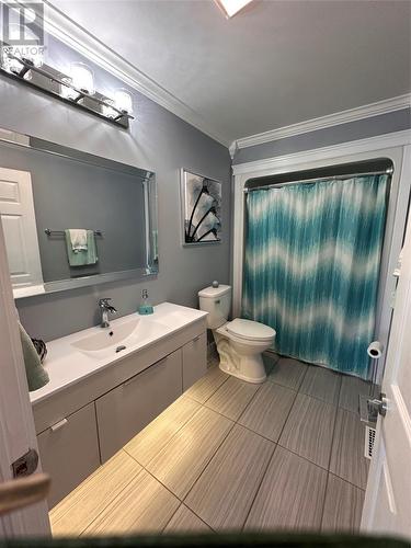 19 Western Island Pond Drive, Torbay, NL - Indoor Photo Showing Bathroom