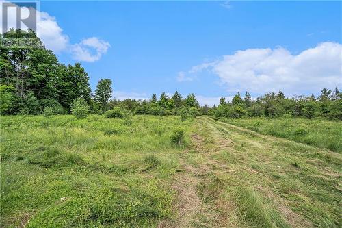 Ford Road, Montague, ON 