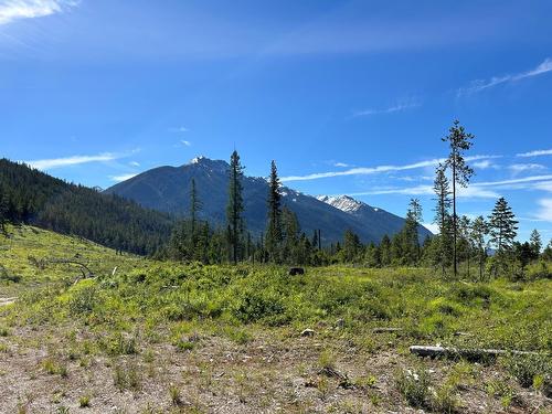 2800 White Ram Forest Service Road, Skookumchuck, BC 