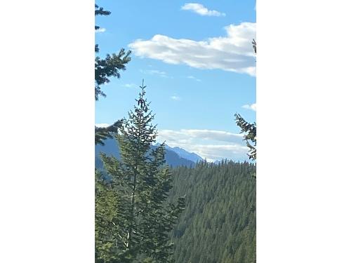 2800 White Ram Forest Service Road, Skookumchuck, BC 