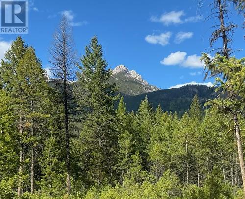 2800 White Ram Forest Service Road, Skookumchuck, BC 