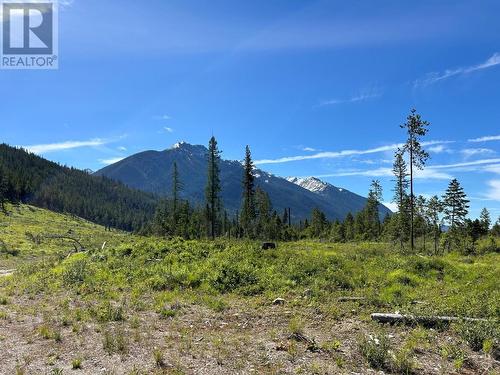 2800 White Ram Forest Service Road, Skookumchuck, BC 