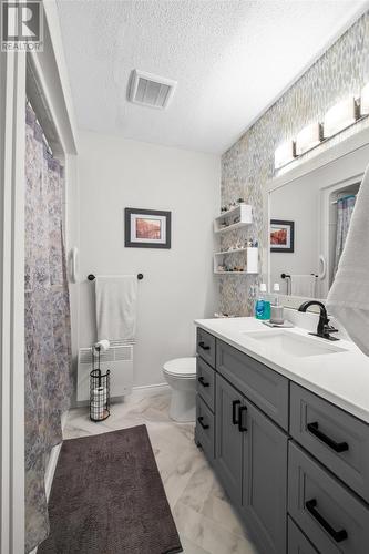 156 Carrick Drive, St. John'S, NL - Indoor Photo Showing Bathroom