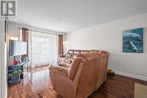 156 Carrick Drive, St. John'S, NL - Indoor Photo Showing Living Room