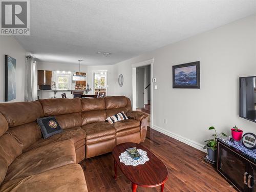 156 Carrick Drive, St. John'S, NL - Indoor Photo Showing Living Room