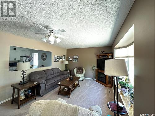 302 3Rd Avenue E, Assiniboia, SK - Indoor Photo Showing Living Room