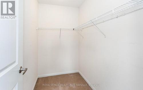 243 Septimus Heights, Milton, ON - Indoor With Storage