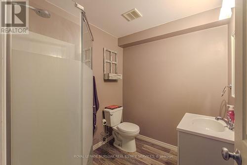 8 Ivy Crescent, Brant, ON - Indoor Photo Showing Bathroom