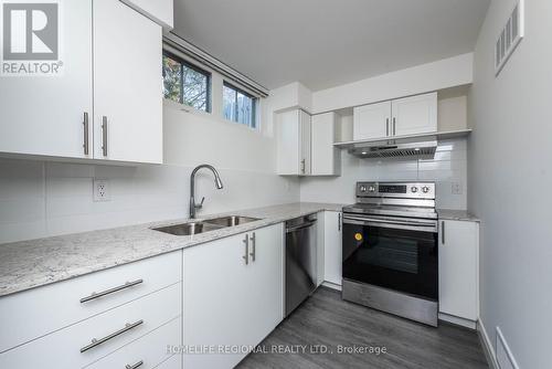 Lower - 50 Tewsley Place, Toronto, ON - Indoor Photo Showing Kitchen With Double Sink With Upgraded Kitchen