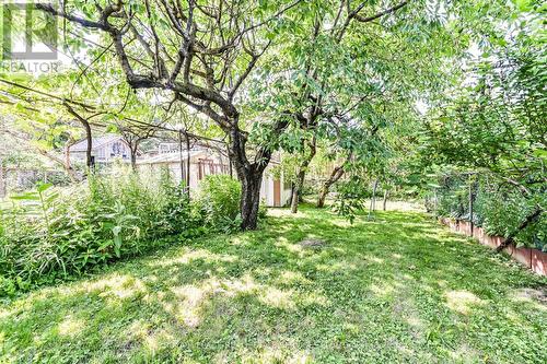 1482 Wilson Avenue, Toronto, ON - Outdoor