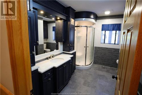 599 West River Rd, Grand Falls, NB - Indoor Photo Showing Bathroom
