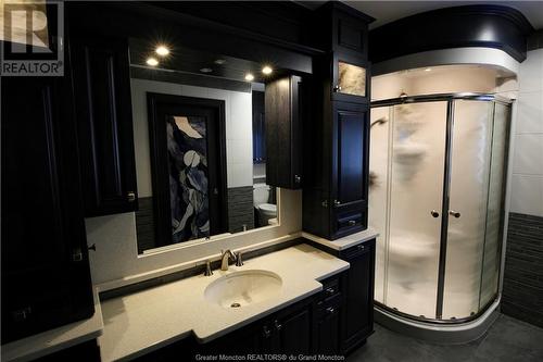 599 West River Rd, Grand Falls, NB - Indoor Photo Showing Bathroom